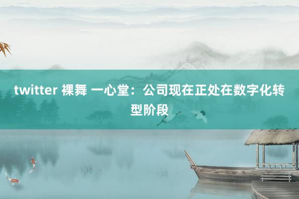 twitter 裸舞 一心堂：公司现在正处在数字化转型阶段