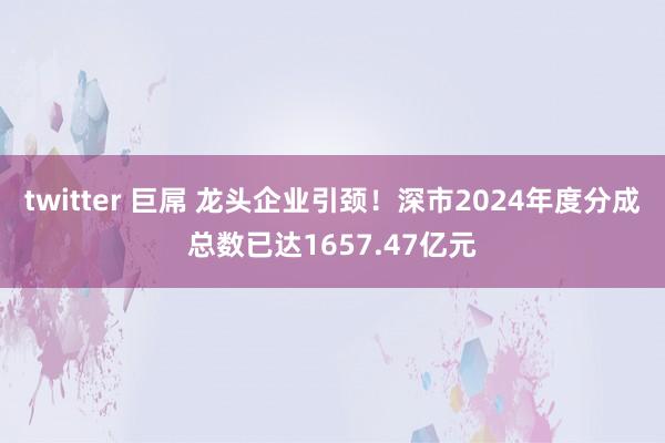 twitter 巨屌 龙头企业引颈！深市2024年度分成总数已达1657.47亿元