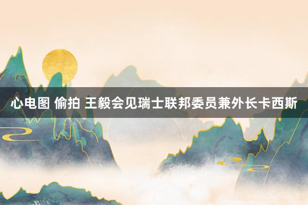 心电图 偷拍 王毅会见瑞士联邦委员兼外长卡西斯